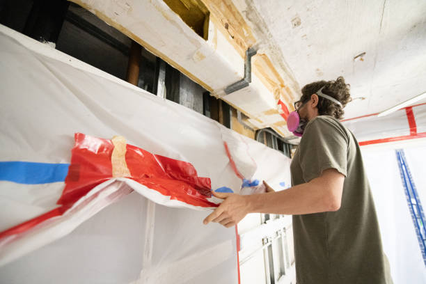 Trusted Highland City, FL Mold Removal Experts